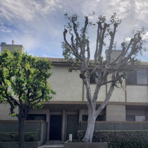 2000 W Palmyra Ave #3 Orange, CA 92868