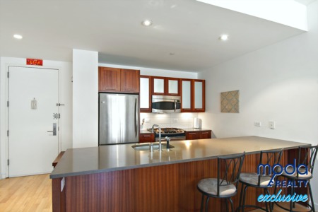 460 W 236th Street #3C Bronx, NY 10463