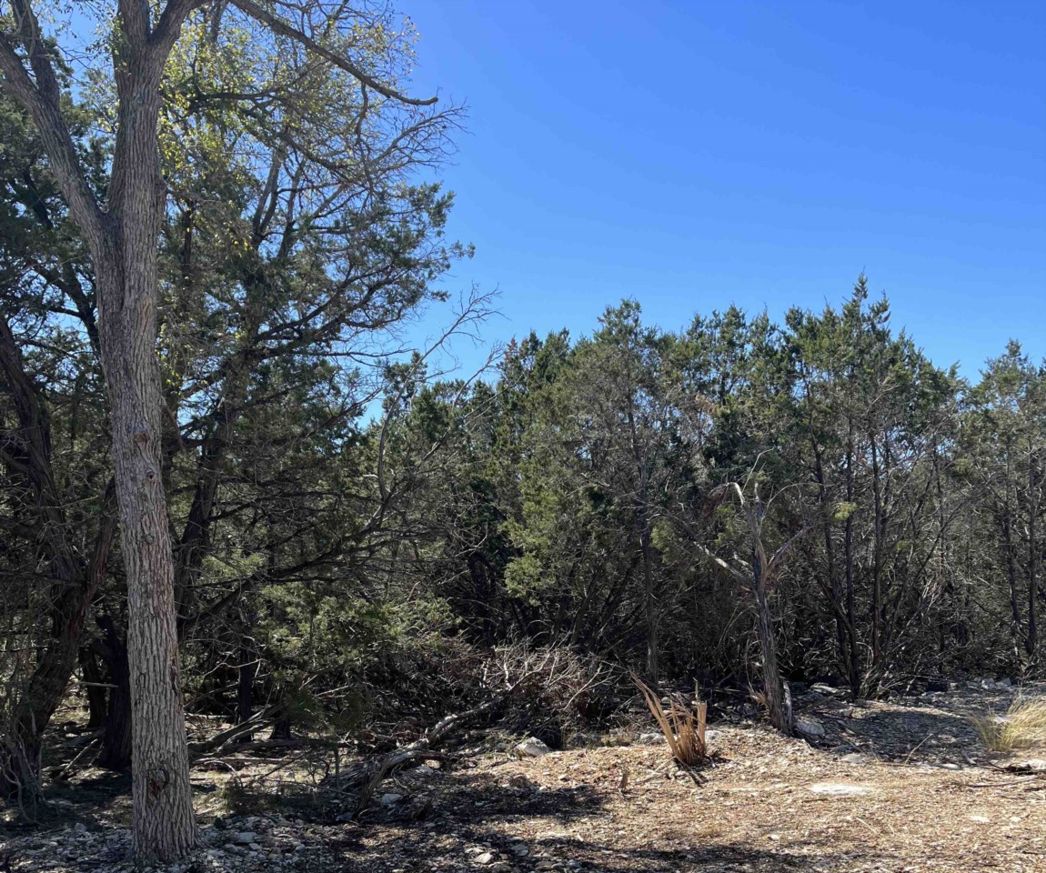 1463 Trailhead New Braunfels, TX 78132