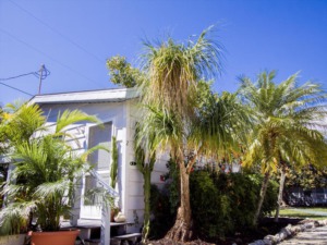 2902 W Gulf Drive #2 Sanibel, FL 33957