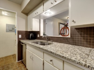 6718 Silvermine Drive #901 Austin, TX 78736
